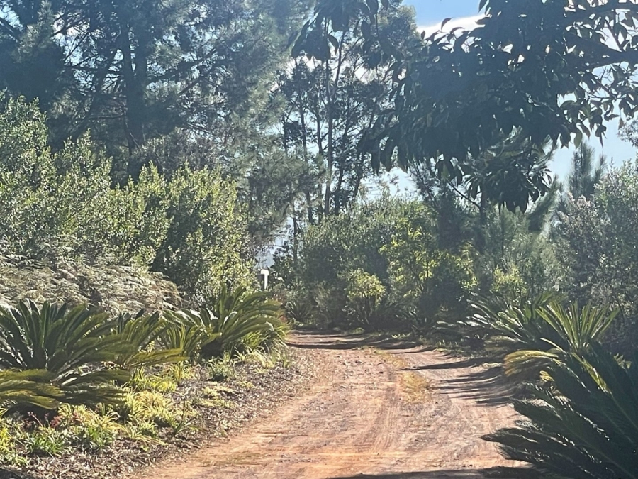 Commercial Property for Sale in Leermansdrift Ah Western Cape